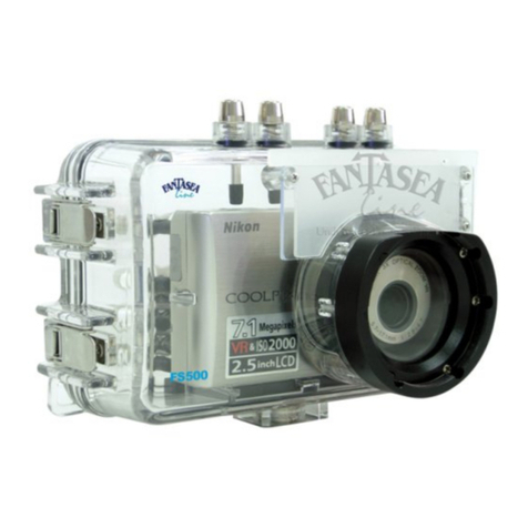Fantasea FS500 manual