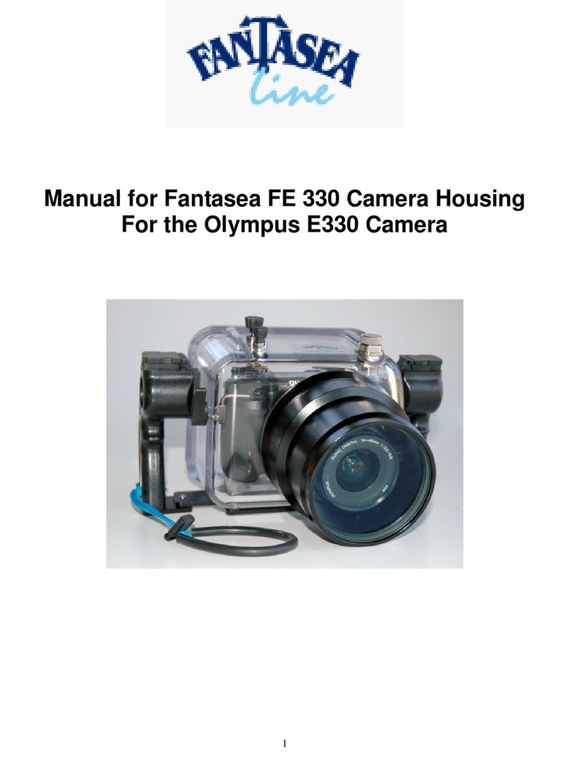 Fantasea FE 330 manual