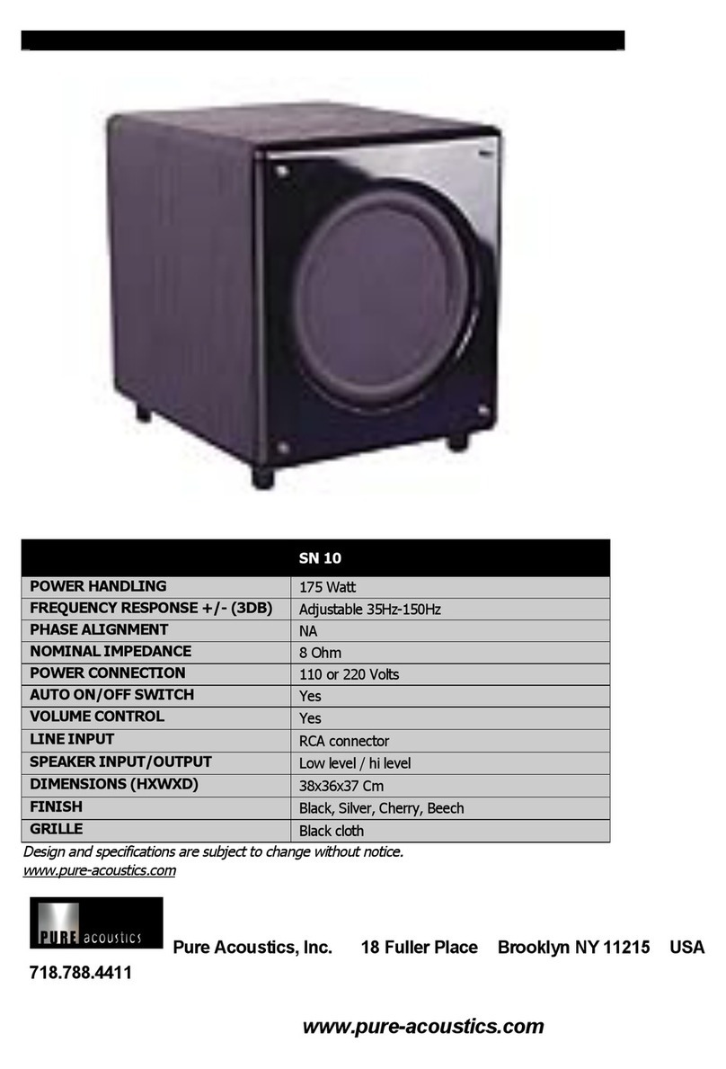 Pure Acoustics SN 10 specification