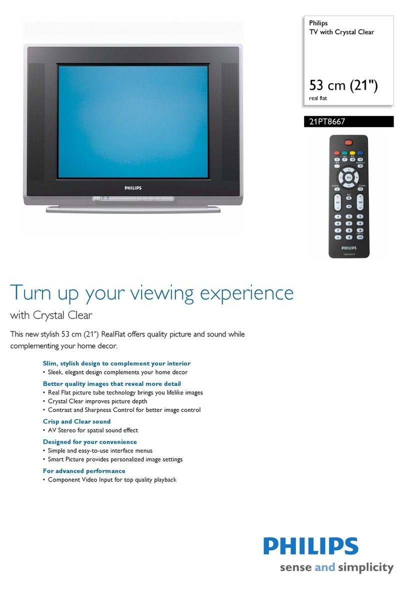 Philips 21PT8667 User manual