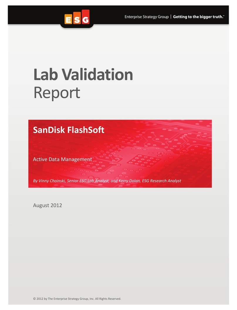 SanDisk FlashSoft Programming manual