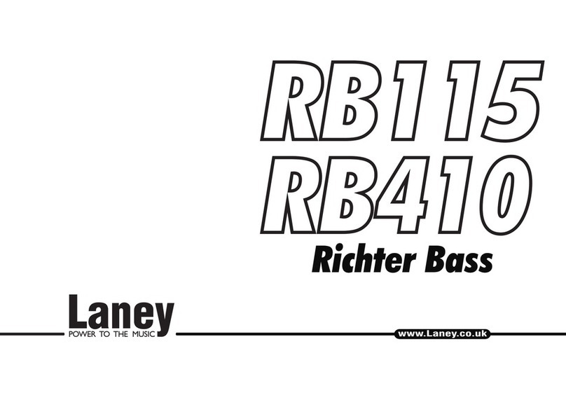 Laney Richter Bass RB115 instructions