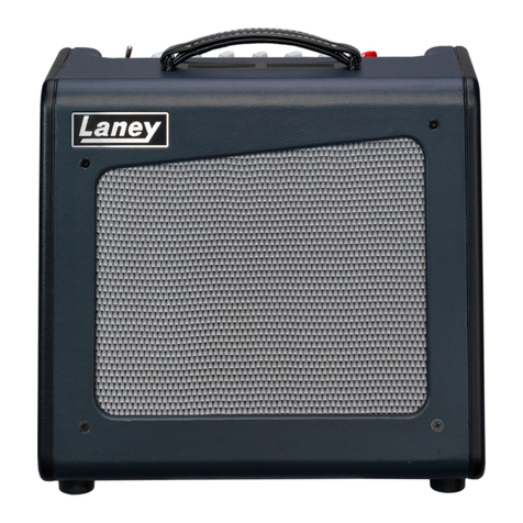 Laney CUB 12 User manual