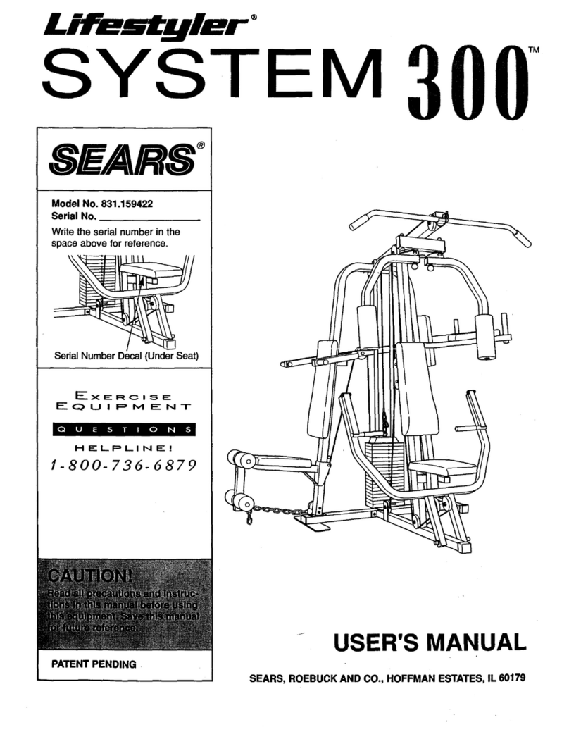 LIFESTYLER System 300 user manual