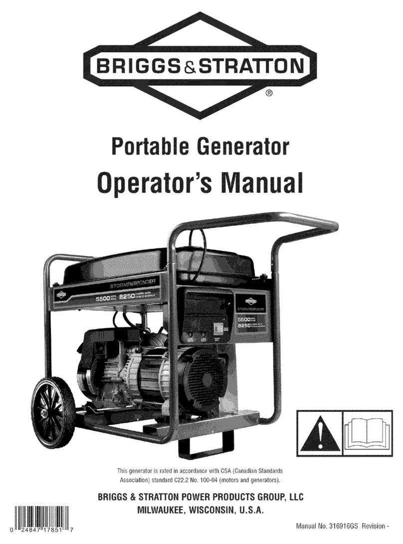 Briggs & Stratton 316916GS User manual Briggs & Stratton 316916GS User manual