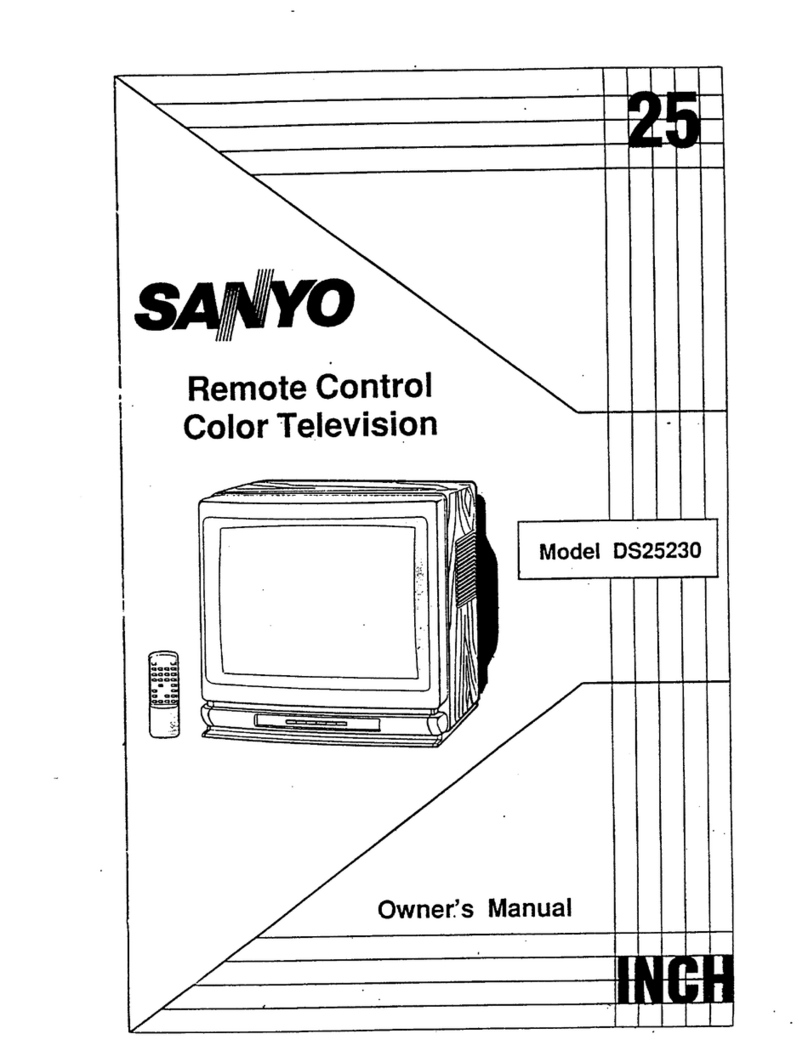Sanyo DS25230 owner's manual