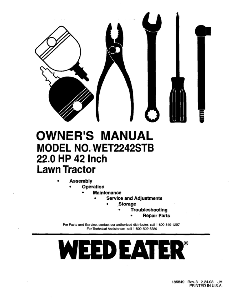 Weed Eater WET2242STB User manual