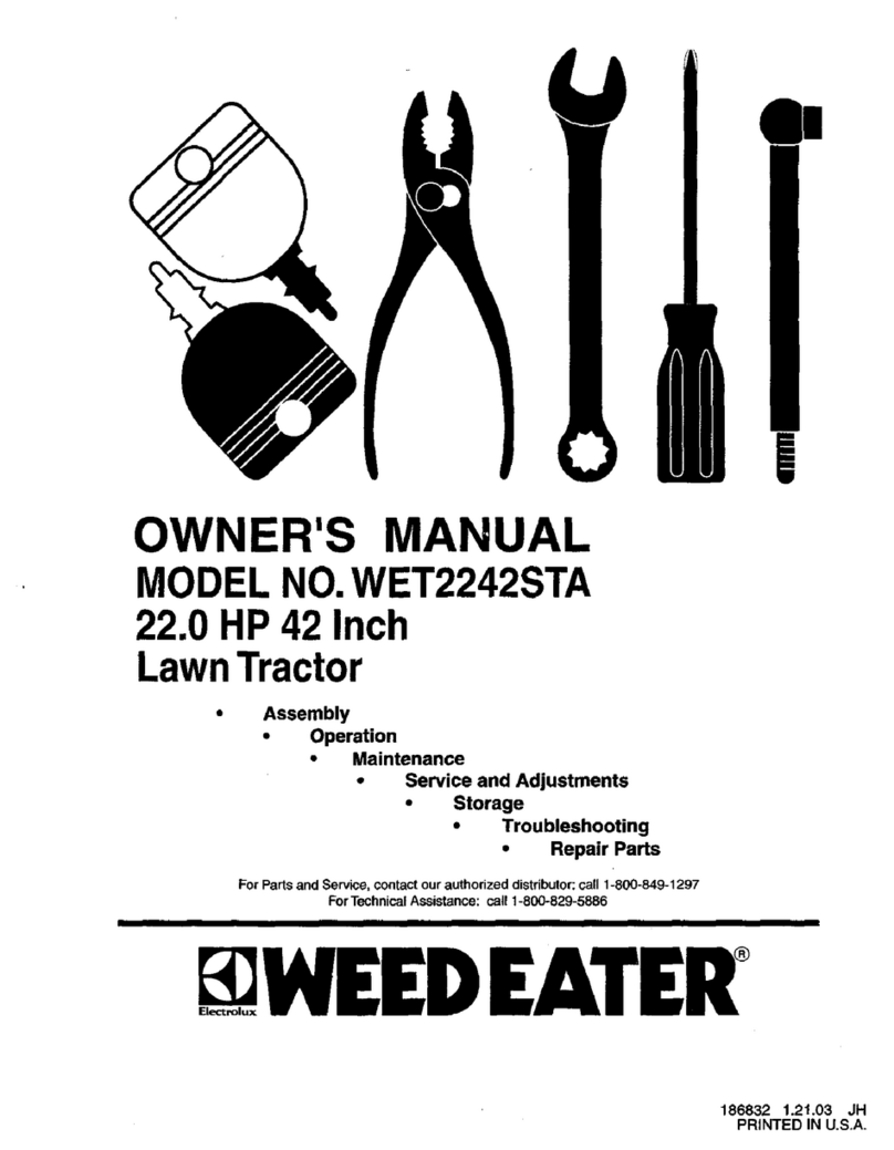 Weed Eater WET2242STA User manual