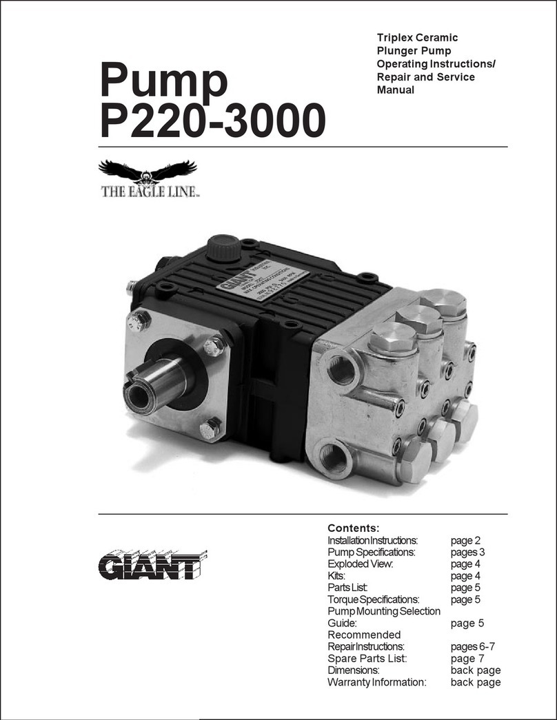 Giant P220-3000 User manual