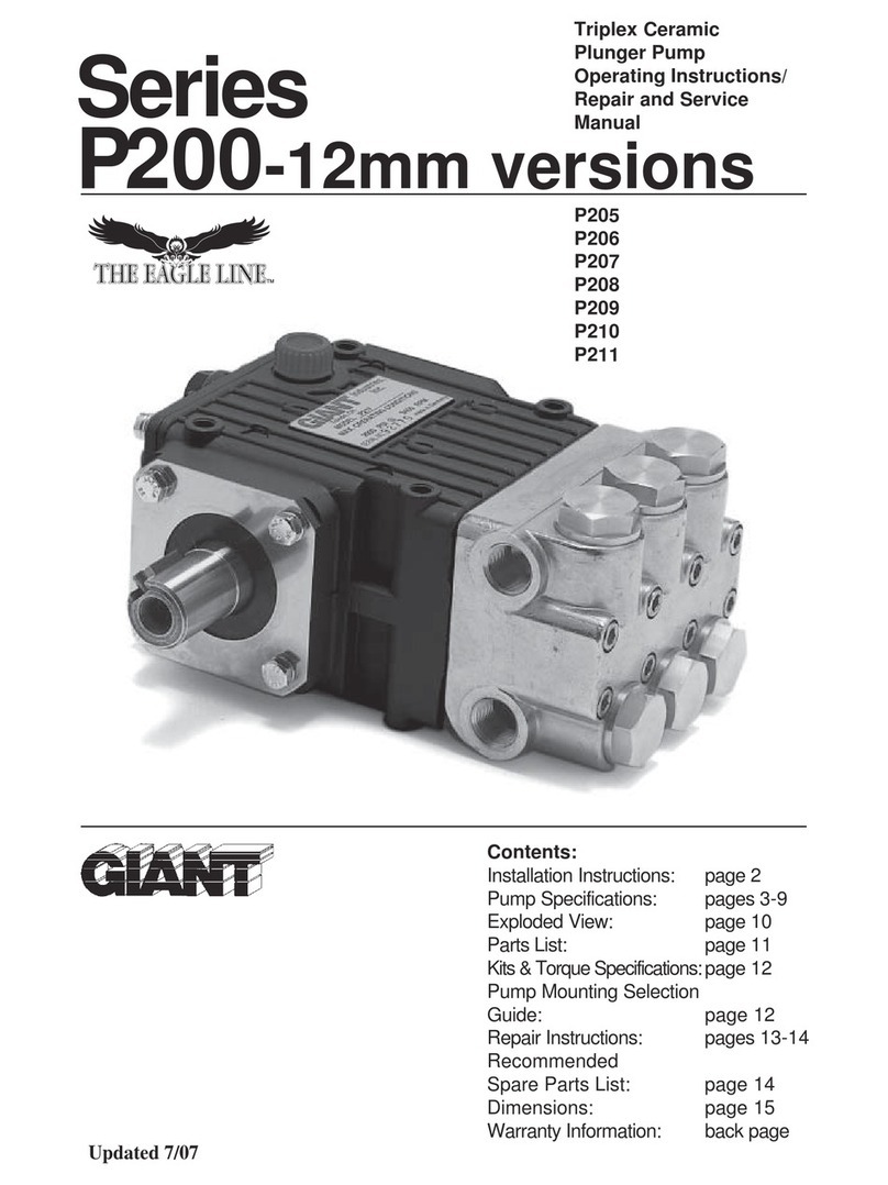 Giant P205 Repair and Repair and service manual