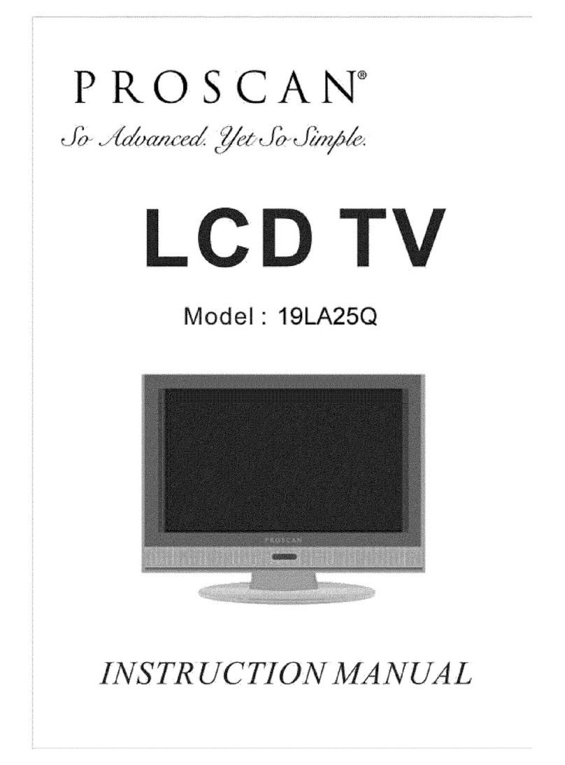 ProScan 19LA25Q User manual