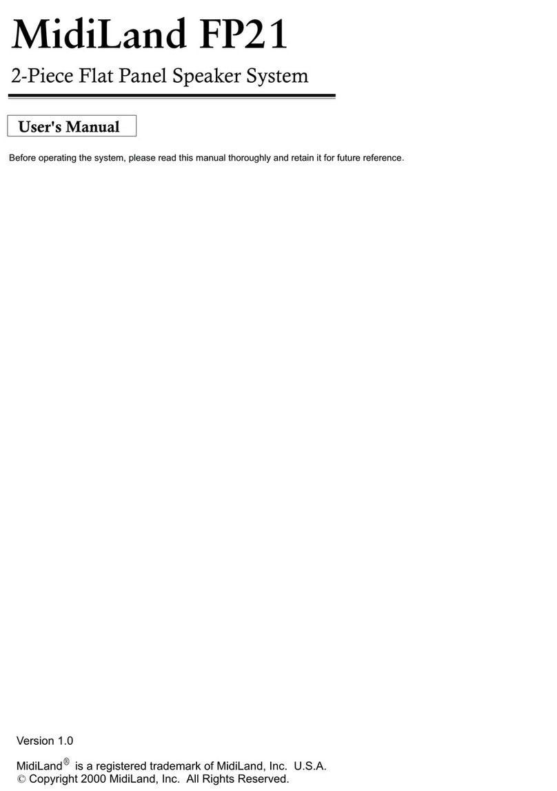 MidiLand FP21 user manual