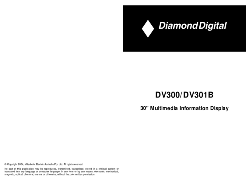 Diamond Digital DV300 User manual