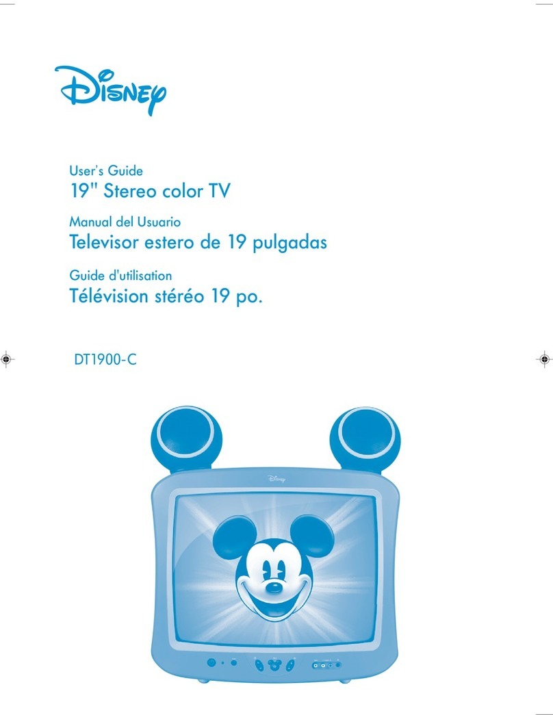 Disney DT1900-C user guide