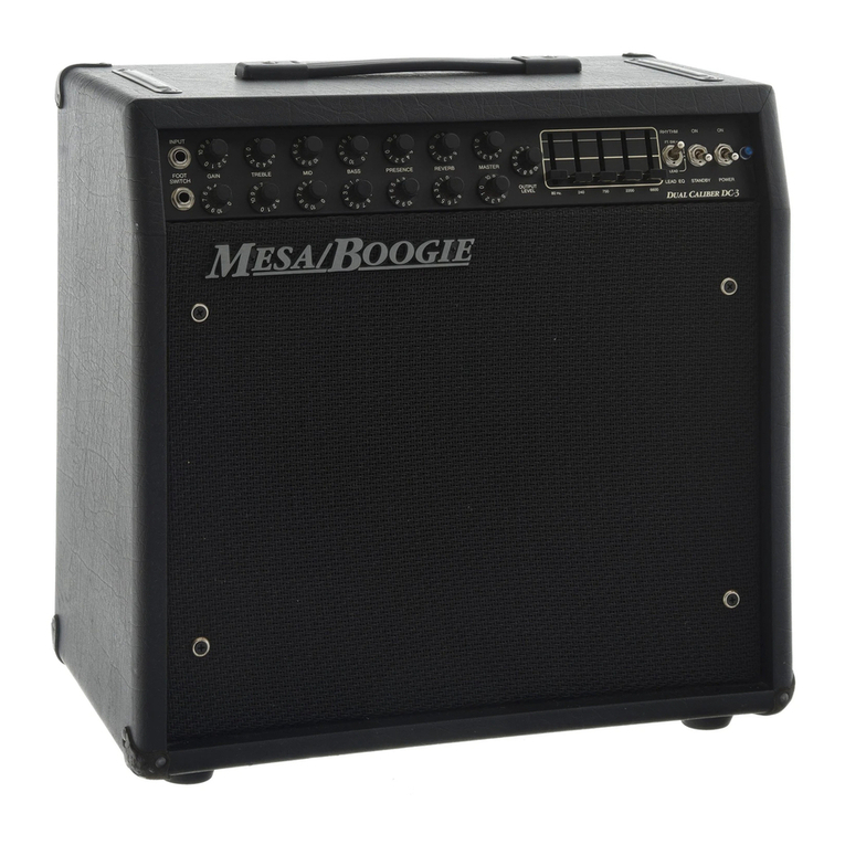 Mesa/Boogie DC3 User manual