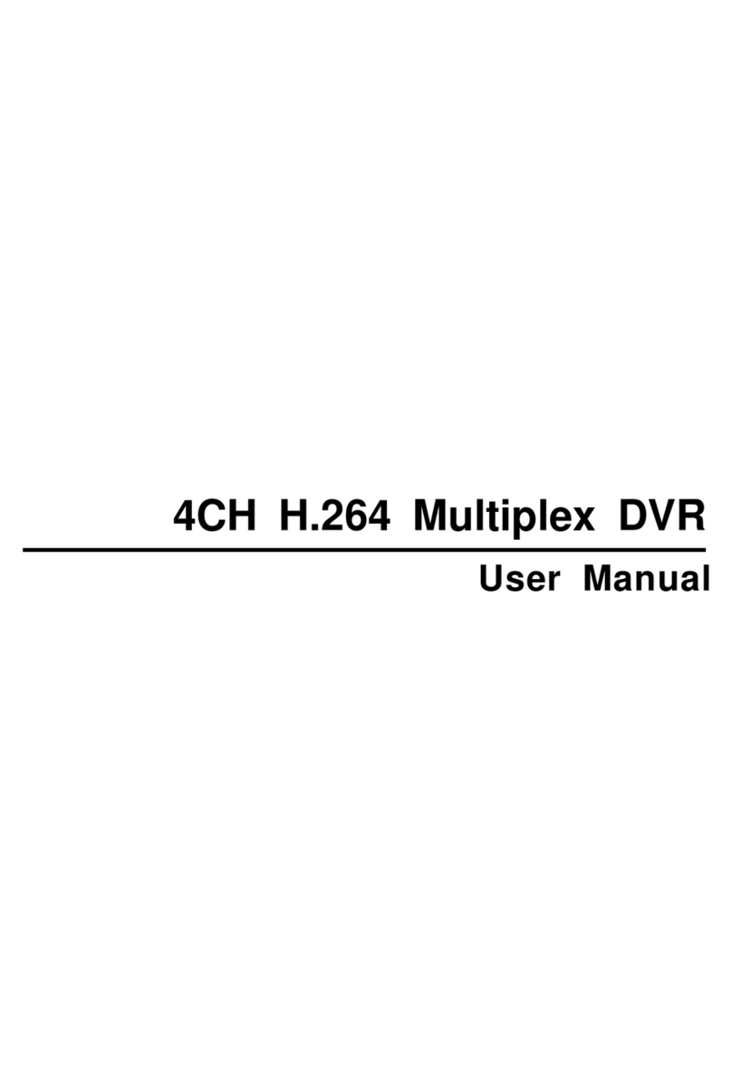 Multiplex 4CH H.264 User manual
