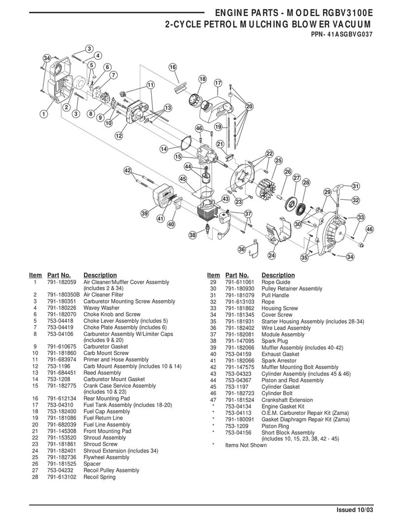 MTD RGBV3100E User manual