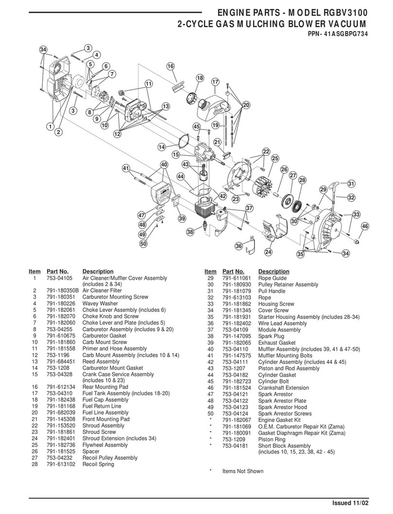 MTD RGBV3100 User manual