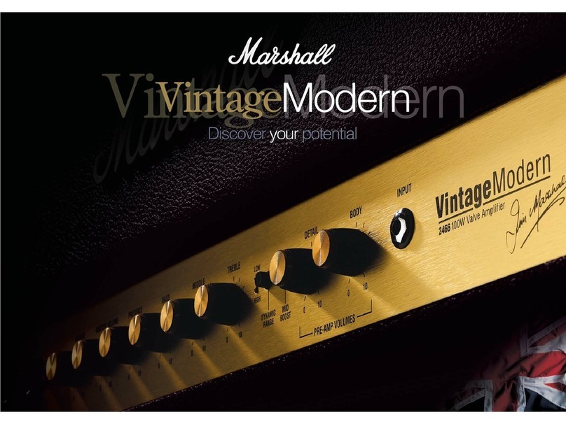 Marshall Amplification Vintage Modern 2466 User manual