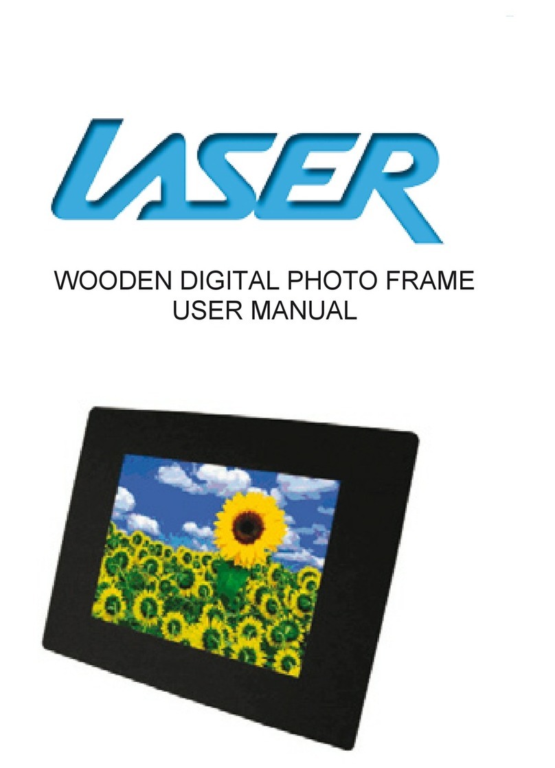 Laser AO-DPF10WD User manual