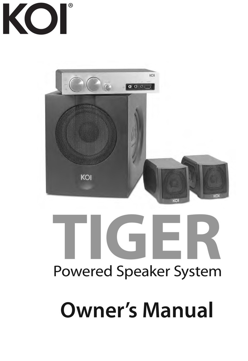 KOI TIGER TIGER Powered Speaker System User manual