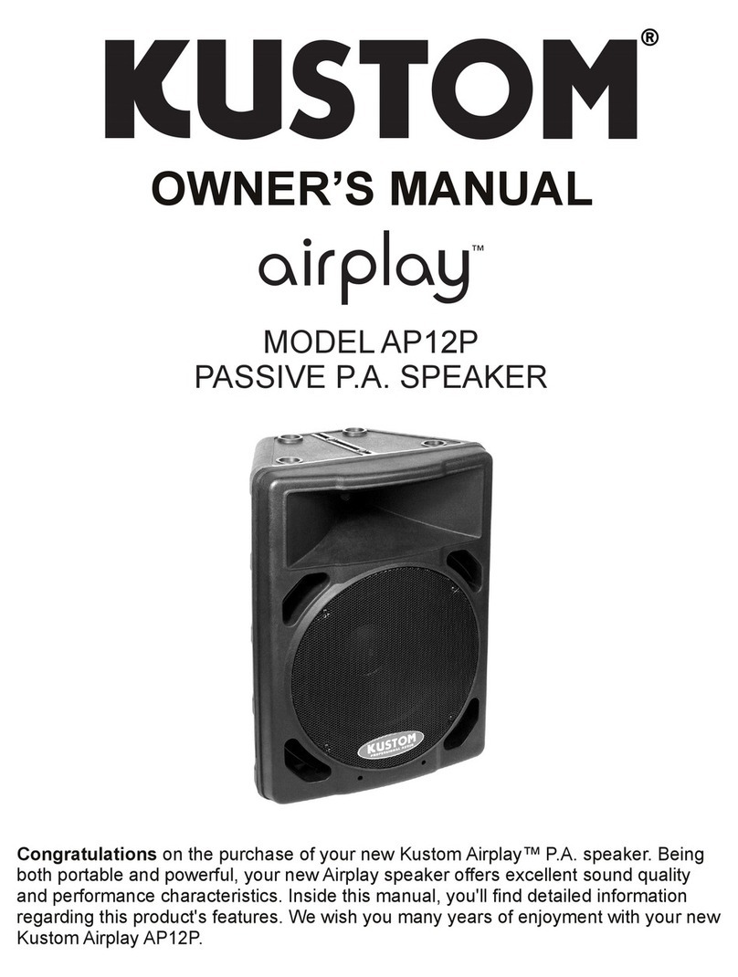 Kustom Airplay AP12P owner's manual