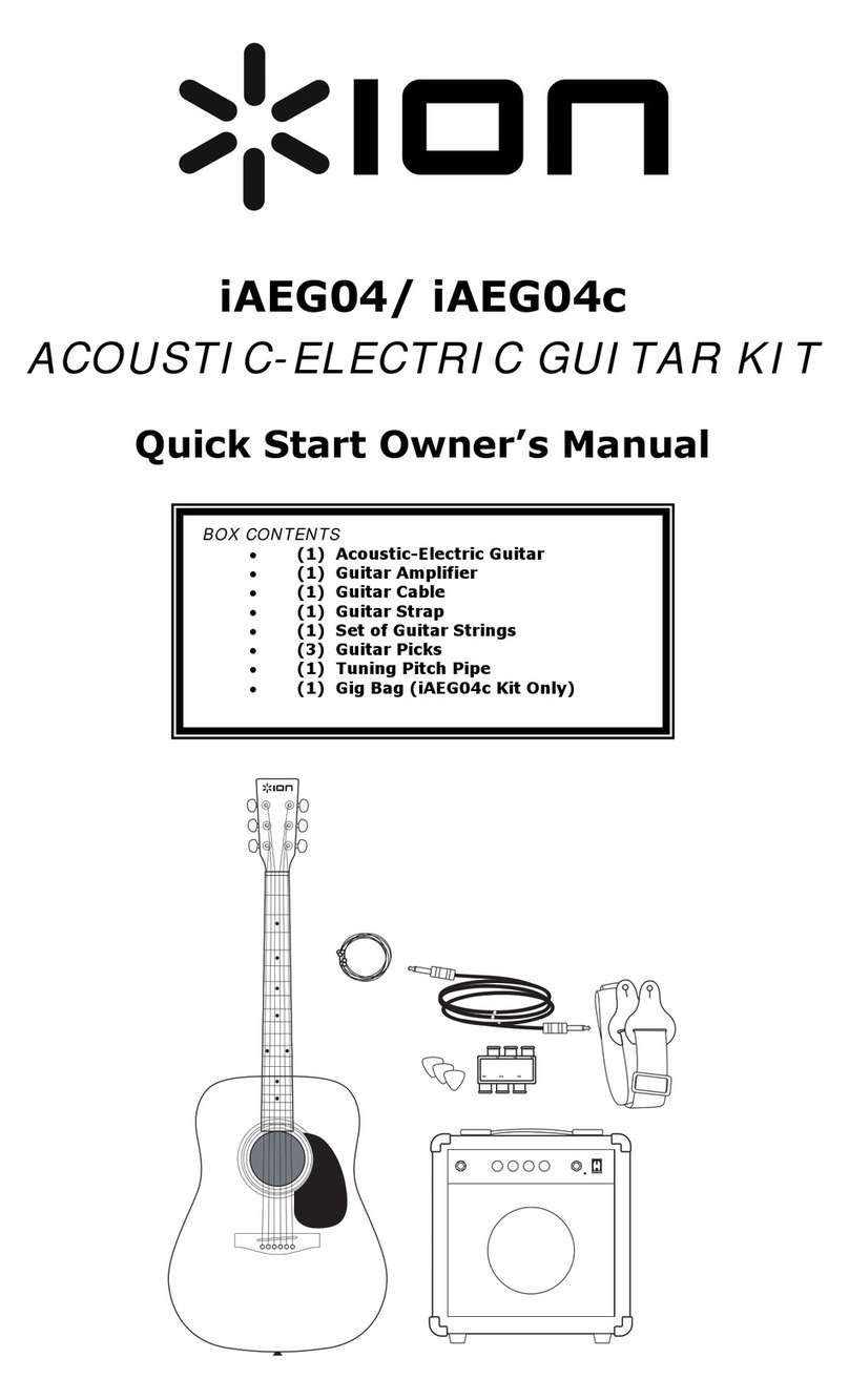 ION iAEG04c Technical document