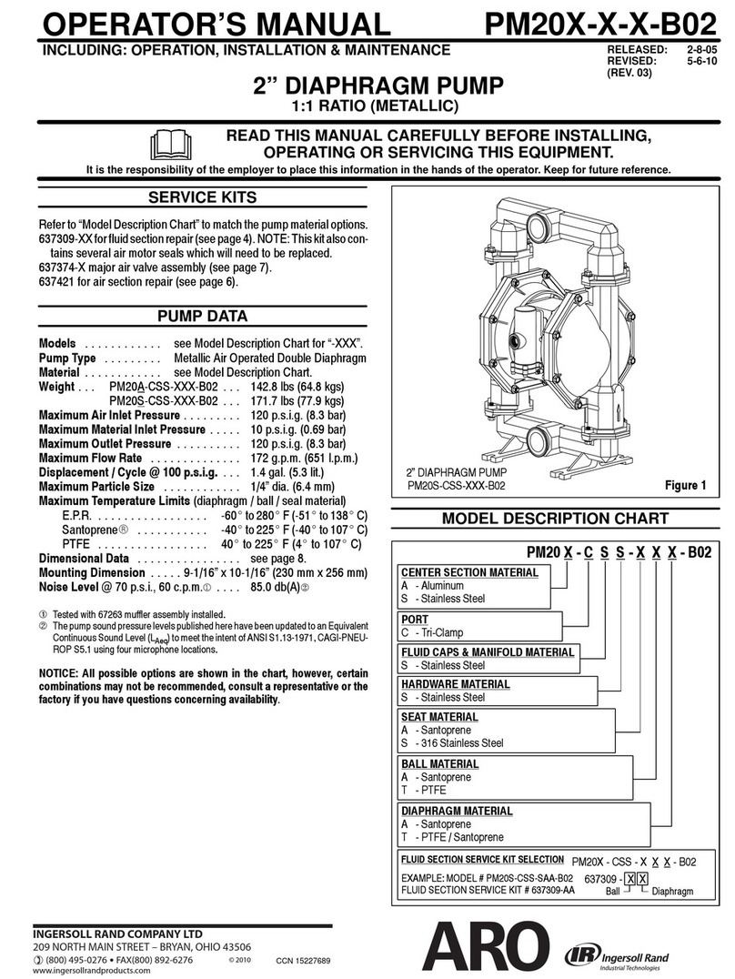 Ingersoll-Rand PM20X-X-X-B02 User manual