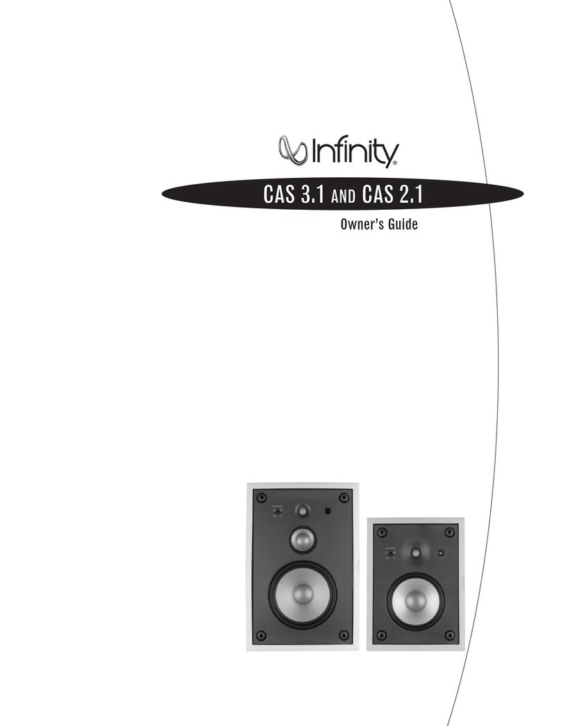 Infinity CAS 3.1 User manual