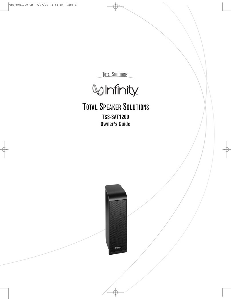 Infinity Total Solutions TSS-SAT1200 owner's guide