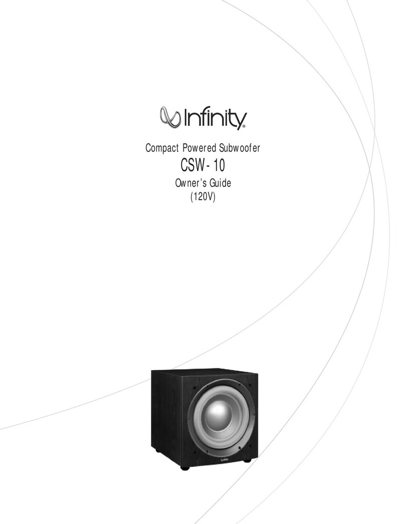 Infinity Beta CSW-10 User manual