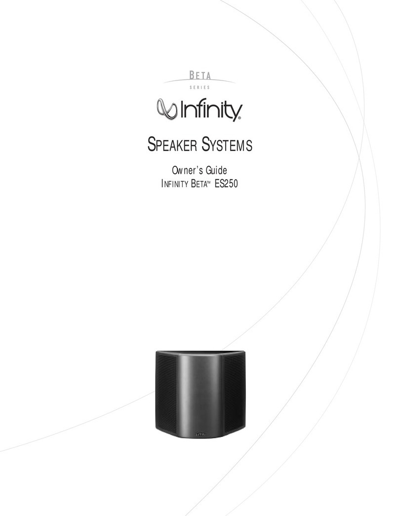 Infinity BETA ES250 User manual Infinity BETA ES250 User manual