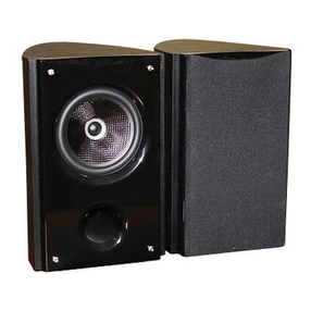 Insignia Ns-B2111 - Bookshelf Speakers user guide