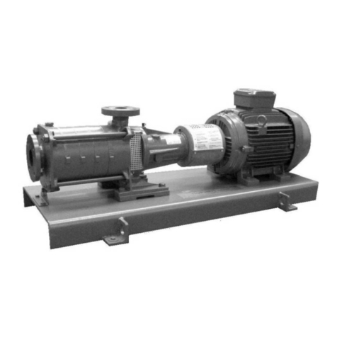 Flowserve Flowserve 71576286 User manual Flowserve Flowserve 71576286 User manual