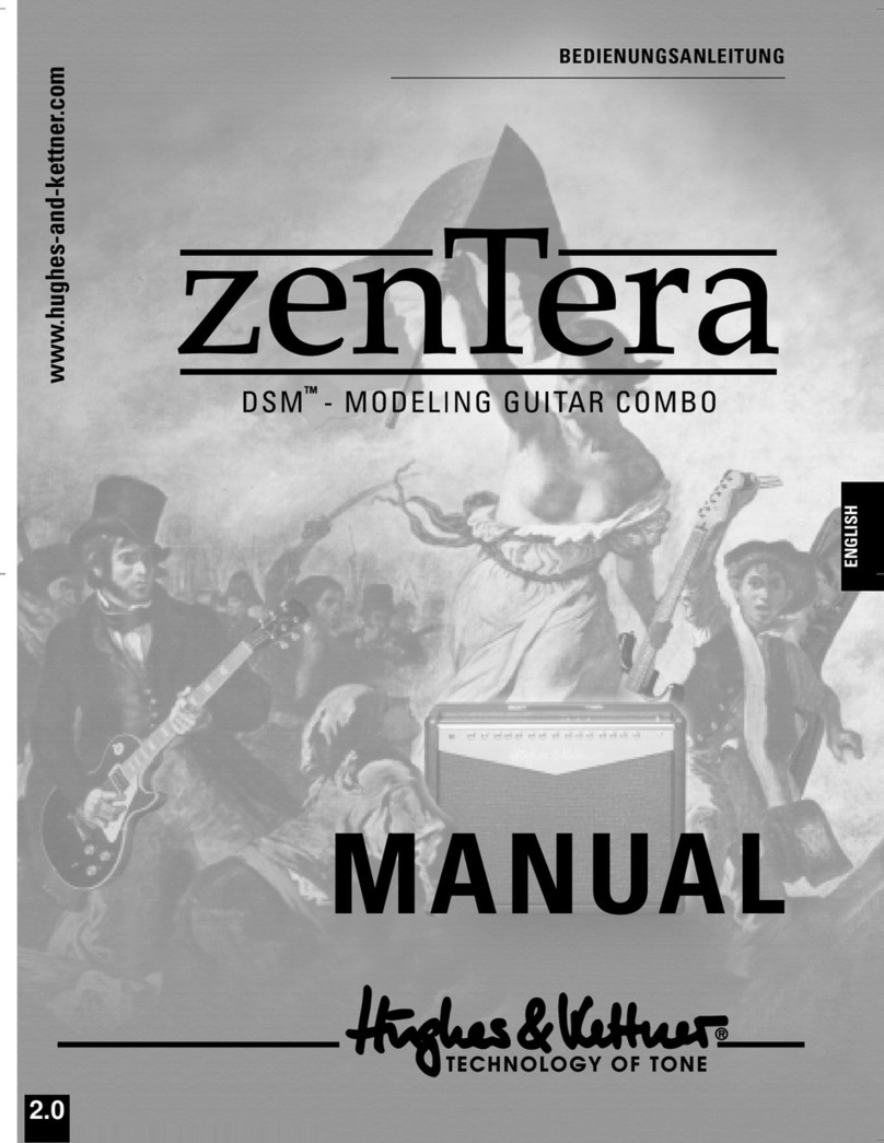 Hughes & Kettner DSM User manual