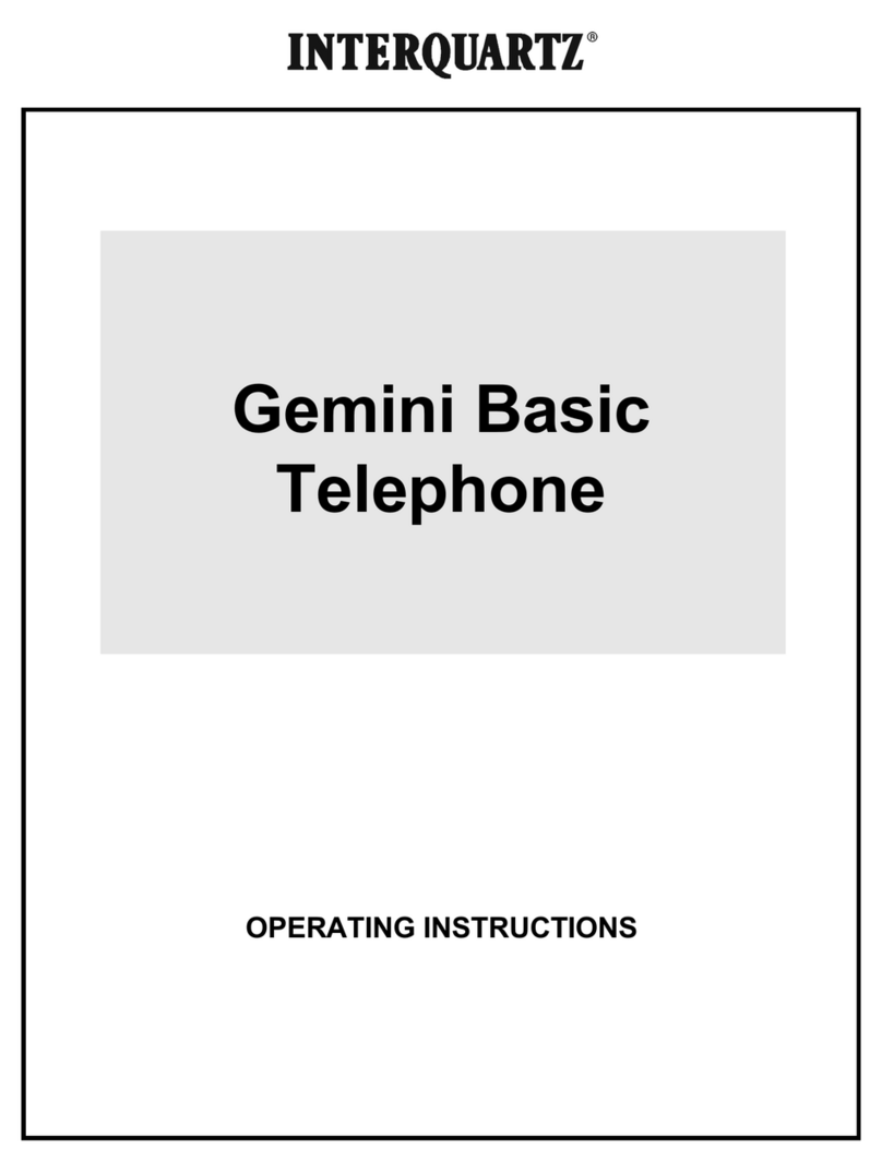 Interquartz Gemini Basic operating instructions