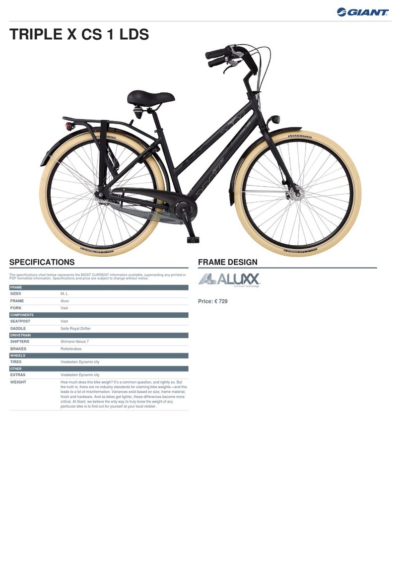 Giant TRIPLE X CS 1 LDS User manual