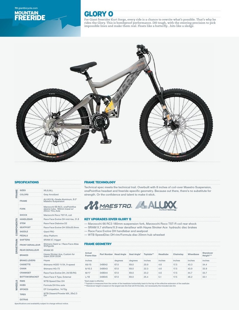 Giant GLORY - SERVICE  V2.0 Specifications