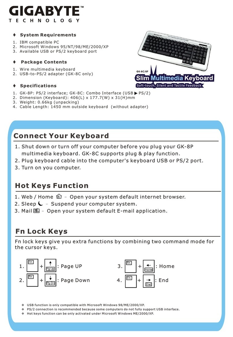 Gigabyte GK-8C manual