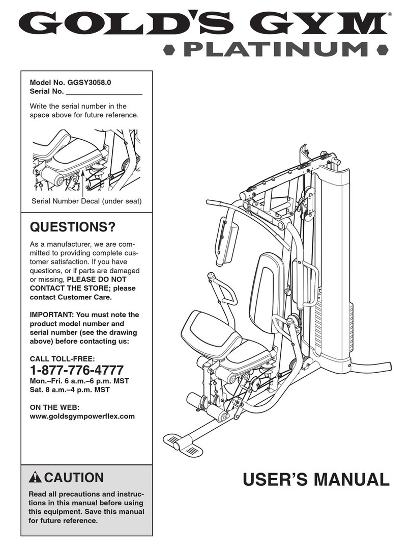 Gold's Gym Platinum GGSY3058.0 user manual