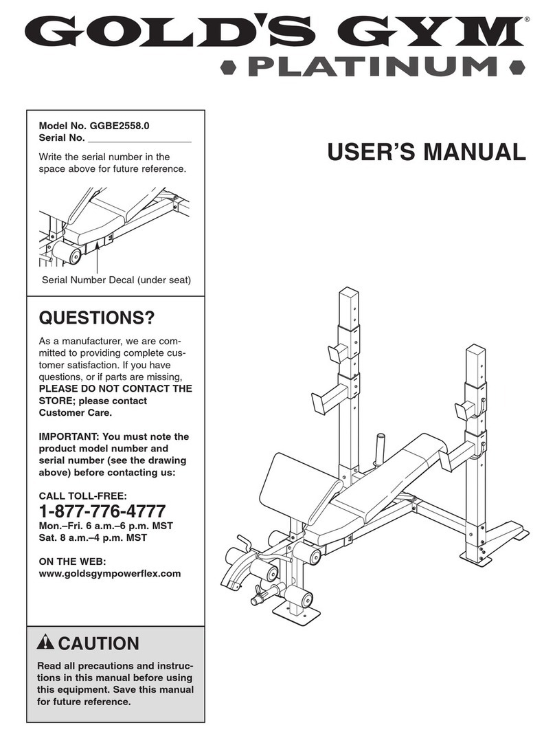 Gold's Gym Platinum GGBE2558.0 user manual