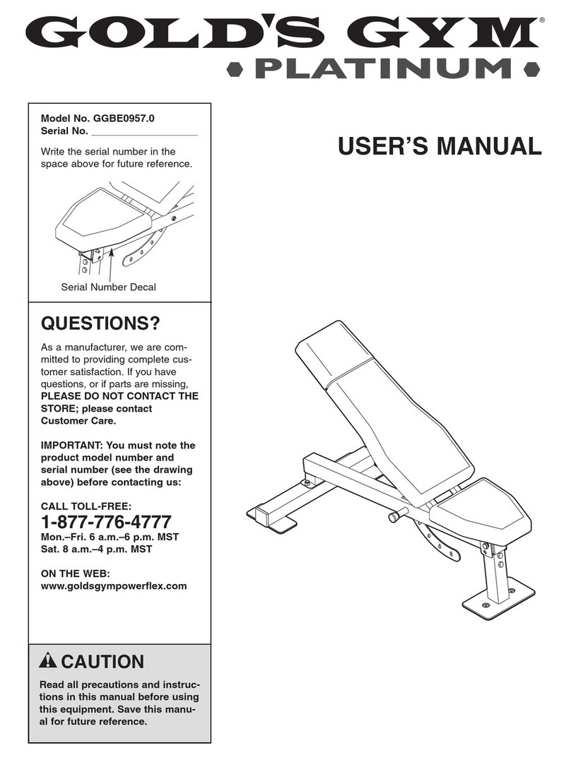 Gold's Gym Platinum GGBE0957.0 user manual Gold's Gym Platinum GGBE0957.0 user manual