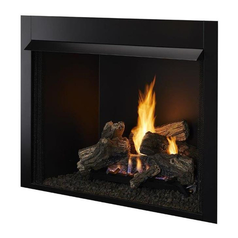 Hearth and Home Technologies GO24-IPI-LP installation instructions