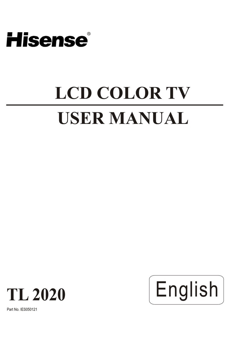 Hisense TL 2020 User manual