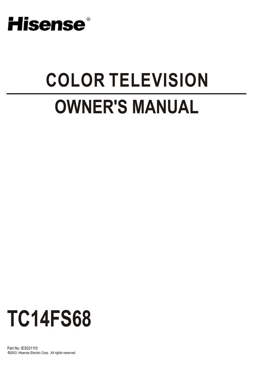 Hisense TC14FS68 owner's manual