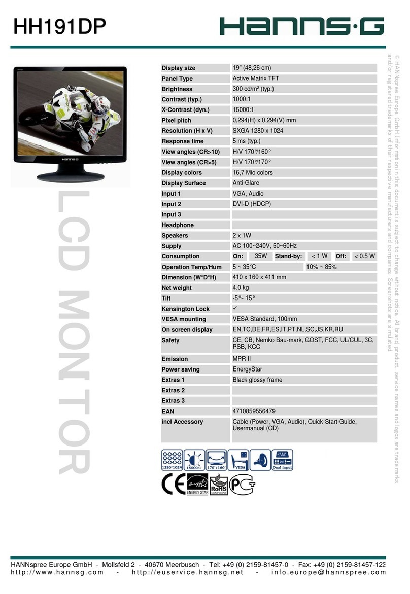 Hanns.G HH191DP User manual