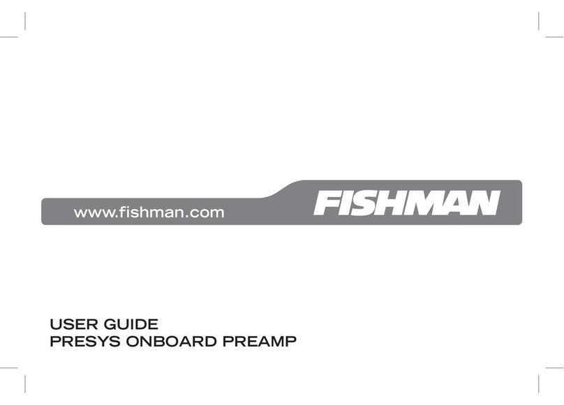 Fishman Stereo Amplifier user guide
