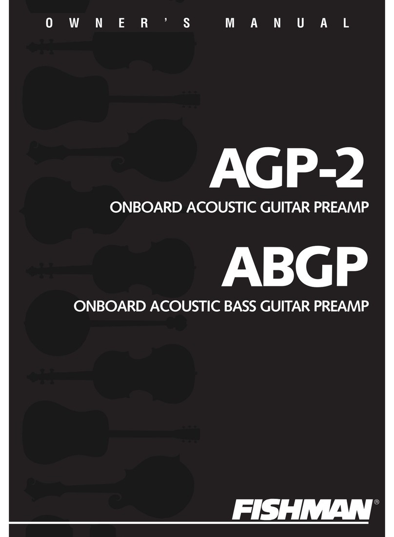 Fishman AGP-2 User manual