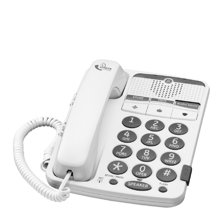 GE 29568 User manual