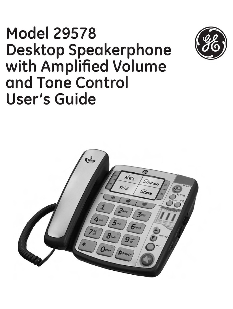 GE 19317 User manual